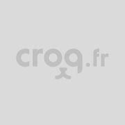 Médaille lumineuse réfléchissante ANCOL fluo pour chiens et chats