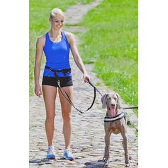 Set de jogging 2-en-1 Dingo ceinture+laisse pour courir avec chien