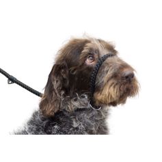 Collier-laisse CONTROL 1m ANCOL en corde noire à passant et anneau