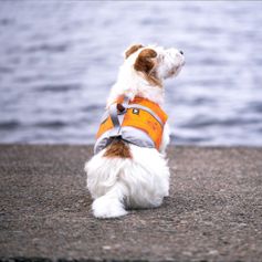 Gilet de sauvetage Hurtta LIFE SAVIOR pour petits chiens <5kg