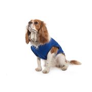 Manteau rafraichissant chien Ancol réfrigérant anti-chaleur l'été