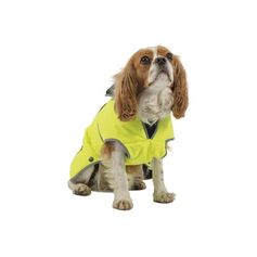 Manteau imperméable pour petits chiens Stormguard haute visibilité jaune fluo