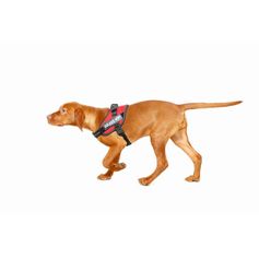 Harnais petit chien IDC Power MINI Julius-K9 chiens 4-15 kg