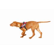 Harnais petit chien IDC Power MINI Julius-K9 chiens 4-15 kg