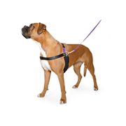 harnais anti traction chien Ancol harnais en H pour la marche au pied