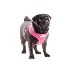 Harnais confort aéré en maille ultra-légère Ancol pour chiens