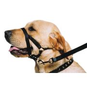 Licol d'éducation Training Halter pour contrôler votre chien