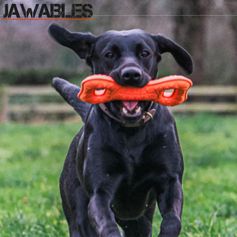 Jouet pour chien JAWABLES TUGGER solide et flottant 22 cm