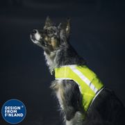 Gilet fluo chien ATTE veste visibilité jaune à bandes réfléchissantes