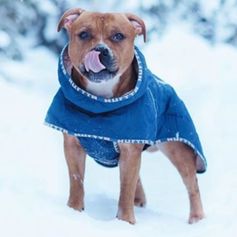 Manteau pour chiens chaud rembourré Hurtta Casual Quilted Jacket