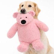 Gros jouet pour chien DOGGLES BOTTLE écolo pour recycler bouteilles