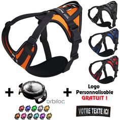 Promotion Coffret Lampe LED + Harnais Julius-K9 JK9®Go personnalisé OFFERT