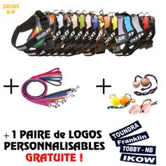 Coffret Julius k9 Harnais personnalisé IDC®Power+ Nom du chien OFFERT!