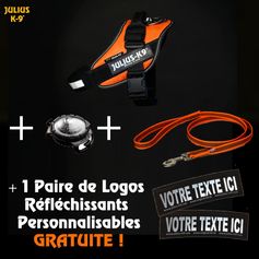 Coffret Harnais Julius VISIBILITÉ personnalisé + Nom du chien OFFERT!