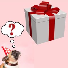 Coffret mystère contenant 5 surprises pour chien