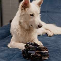 Tapis de fouille pour chiens en forme de balle 18 cm