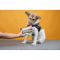 Barre Protéinée Chien 50 g Friandise Hypoallergénique au lapin