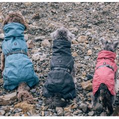 Parka imperméable doublée Hurtta Expedition petits chiens OUTLET