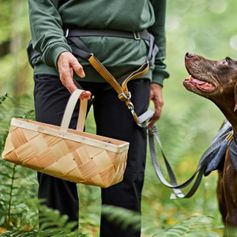 Ceinture canicross chien Hurtta Expedition Belt mains libres sport