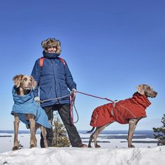 Manteau chaud chien Extreme Warmer III ECO imperméable col haut hiver