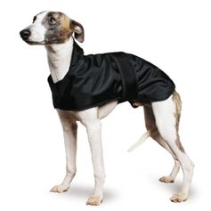 Manteau ANCOL spécial Lévrier, Whippet et Greyhound