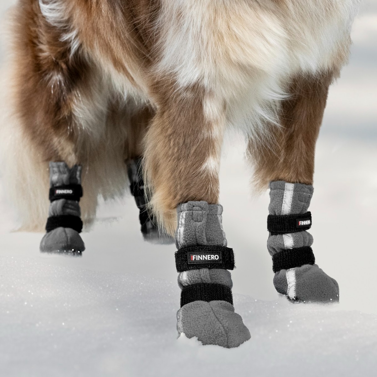 Lot de 4 chaussons pour chiens HALLA réfléchissantes en polaire à semelle souple