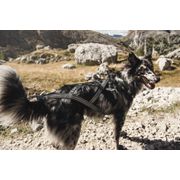 Harnais de traction X-SPORT pour chiens spécial traction Hurtta noir