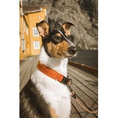 Collier pour chiens CASUAL Hurtta rembourré en nylon tissé