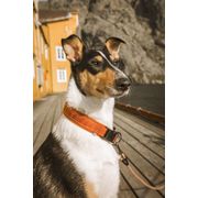 Collier pour chiens CASUAL Hurtta rembourré en nylon tissé