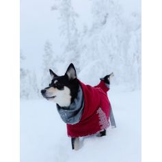 Manteau hiver chaud Hurtta Extreme Warmer pour chiens