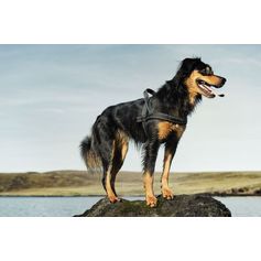 Harnais nordique CLASSIC pour chiens Hurtta réfléchissant et rembourré