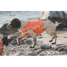 Veste de visibilité Hurtta Ranger orange réfléchissante pour chiens