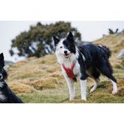 Harnais traction chien actif Hurtta VENTURE léger à poignée