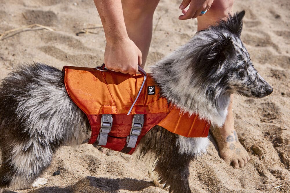 Gilet de sauvetage pour chien Life Savior ECO pour bateau et baignade