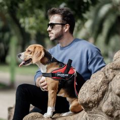 Harnais rafraichissant chien et léger en maille Julius K9 IDC®Powair