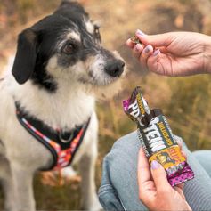 Friandise chien hypoallergénique Barre protéinée Julius-K9 chien 50g agneau carottes