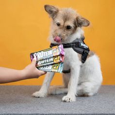 Friandise chien hypoallergénique Julius-K9 lapin 50g