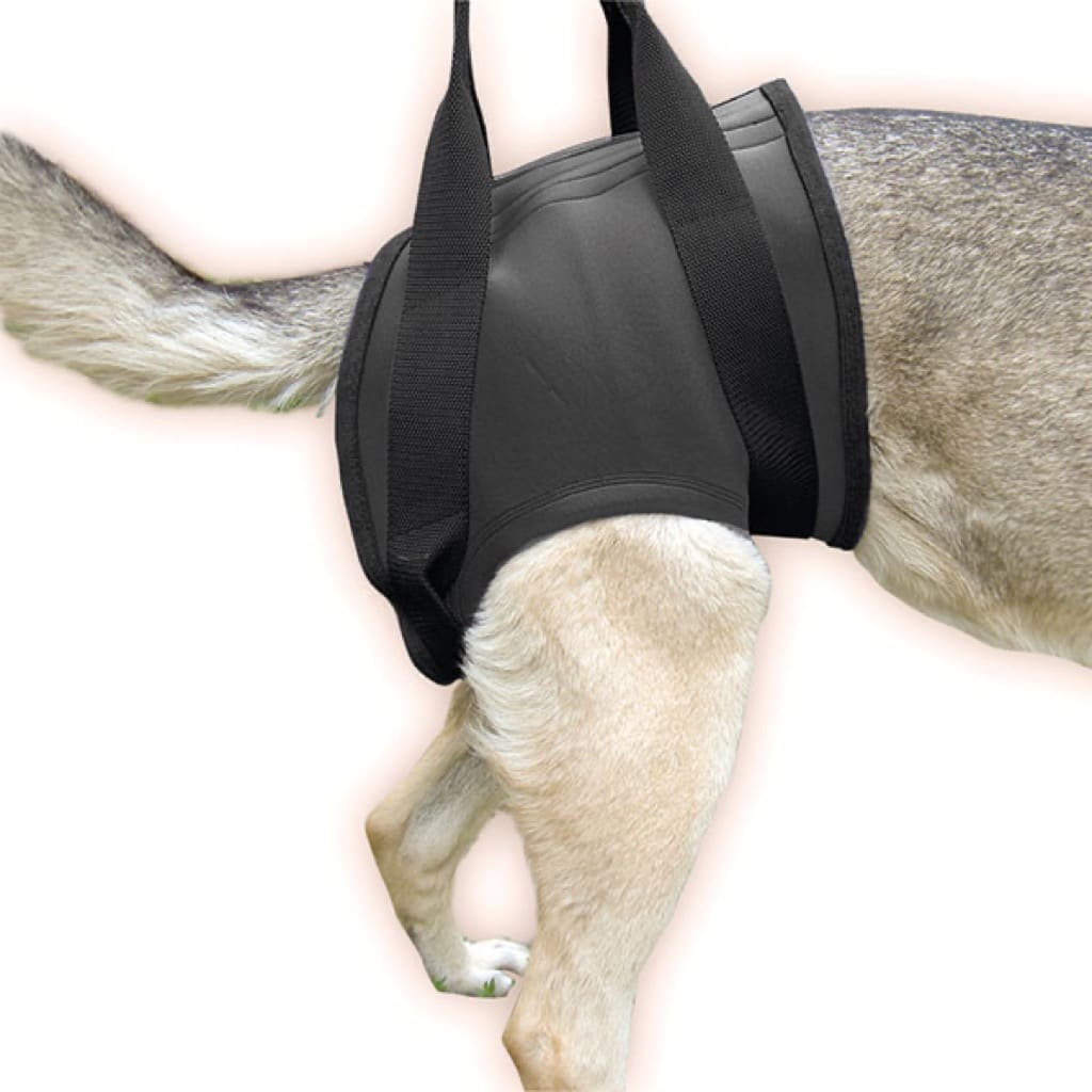 De Lor Pour Les Chiens Harnais de soutien à la marche pour chiens handicapés Julius-K9 - Croq.fr