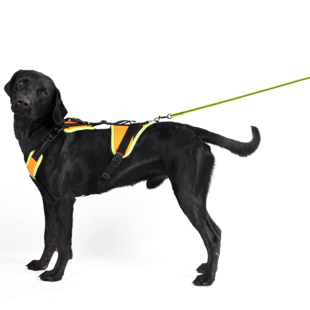 De Lor Pour Les Chiens Harnais de pistage JK9 Mantrailing Julius-K9® pour chien fluo ou noir