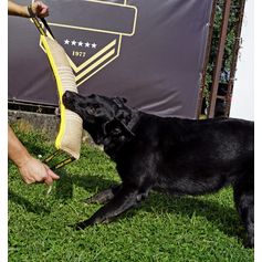 Boudin jute 60x8 cm pour gros chien dressage et mordant