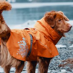 Manteau imperméable pour chien Hurtta Monsoon petit chien moyen chien