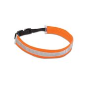 Collier chien lumineux Dingo réfléchissant en nylon orange fluo