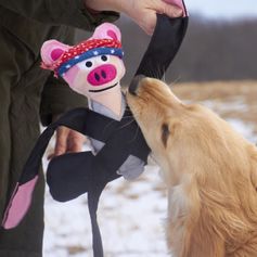 Jouet pour chien matériaux recyclés Doggles Pentapull solide à tirer