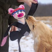 Jouet pour chien matériaux recyclés Doggles Pentapull solide à tirer