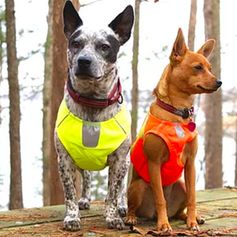 Veste de visibilité Hurtta pour petit chien en softshell rembourrée