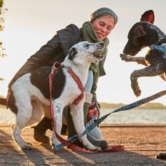 Laisse chien Hurtta Razzle-Dazzle 1,80 m durable et rembourrée