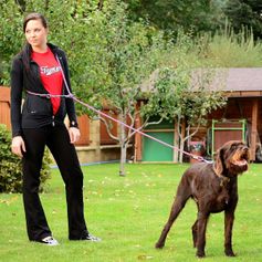 Laisse mains libres pour chien EASYLONG multipositions réglable