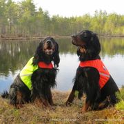 Gilet de sécurité pour chiens UKKO veste réfléchissante visibilité
