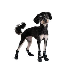 Chaussures chiens en softshell Finnero lot de 4 chaussons chien
